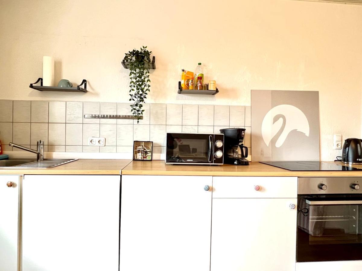 Der Schwan 7 - 3 Schlafzimmer - 2 Balkone - Zentral - 100 Qm Düren - Eifel Kültér fotó